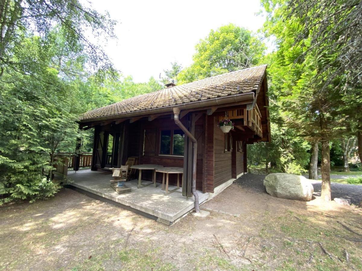 Le Renard Chalet En Bois La Bresse Ngoại thất bức ảnh