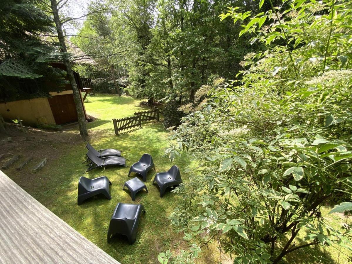 Le Renard Chalet En Bois La Bresse Ngoại thất bức ảnh